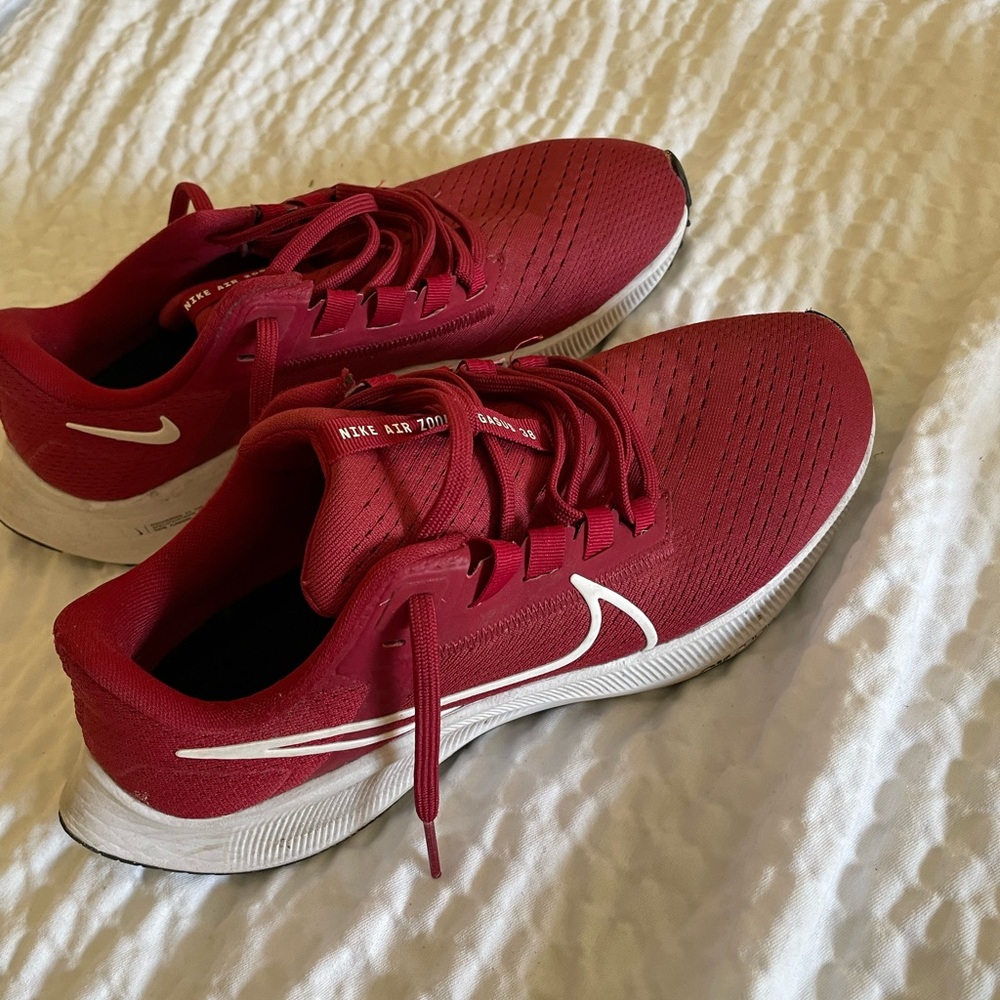 Nike air zoom Pegasus 38